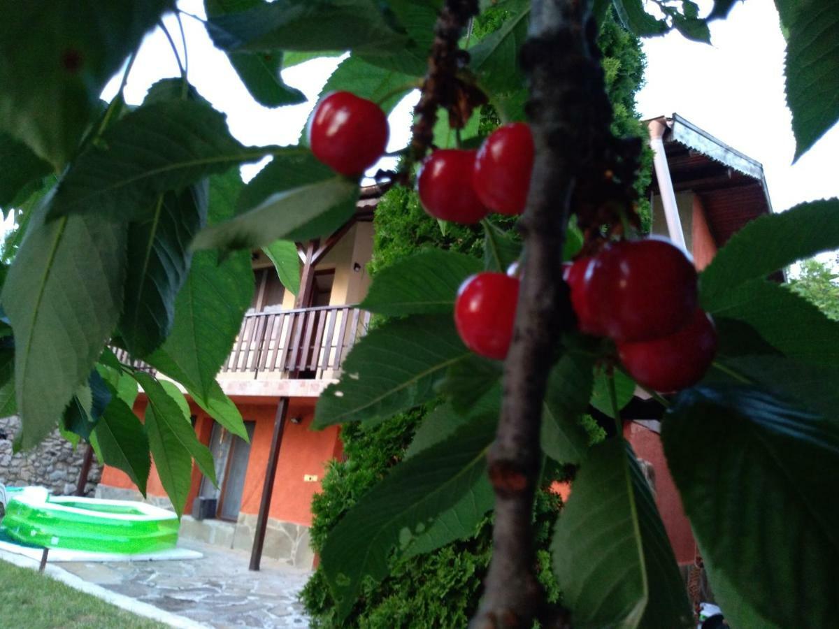Sunset House Villa Varna Exterior foto